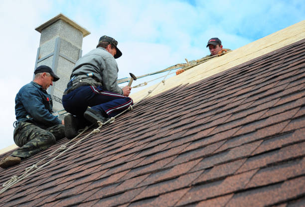 Best Roof Repair Services  in Omak, WA
